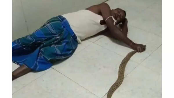 Watch: Man brings snake that bit him to hospital and the reason is ...