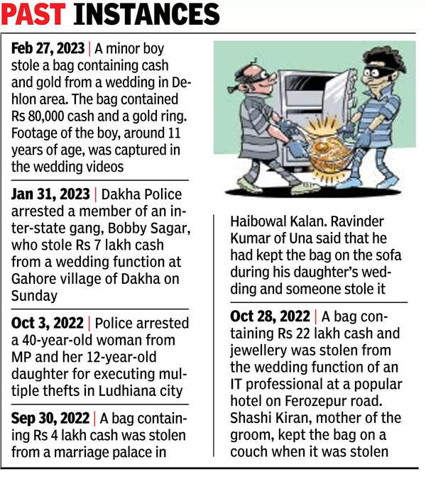 MP Gangs Madhya Pradesh Gangs Target Wedding Season in Ludhiana Cash