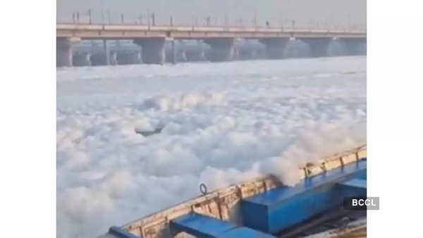 White foam in Yamuna