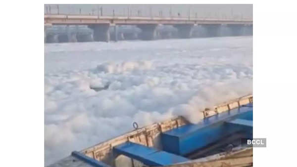 White foam in Yamuna