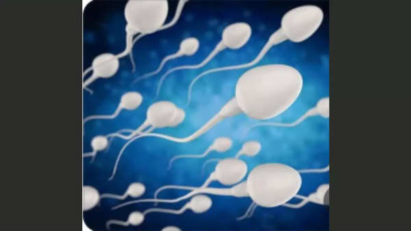 sperm