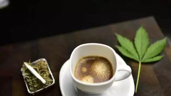 Caffeine infused cannabis