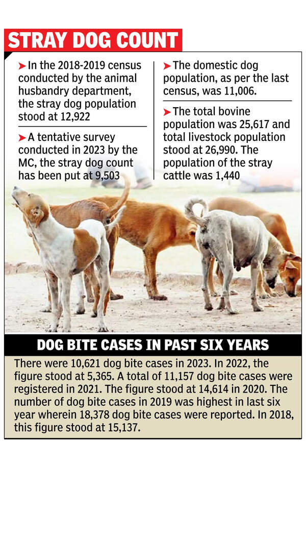 Chandigarh to Conduct Comprehensive Dog Census After 6 Years ...