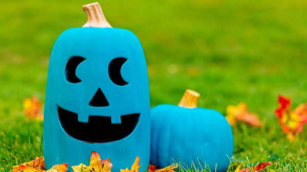 Different Colours Of Halloween Pumpkins And Their Meanings Decoded ...