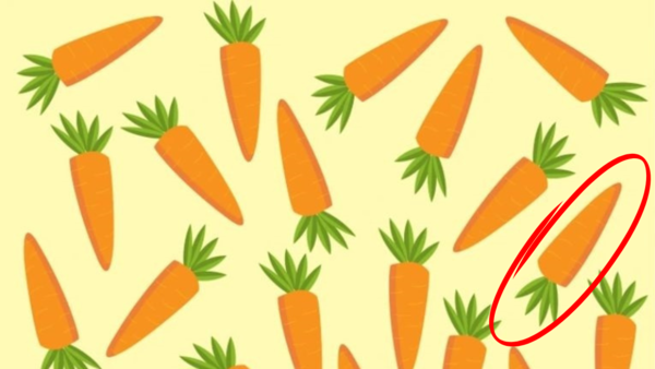 carrot (2)