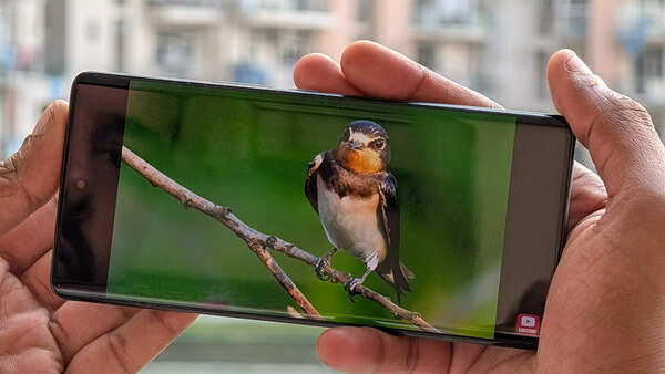 Vivo T3 Ultra display