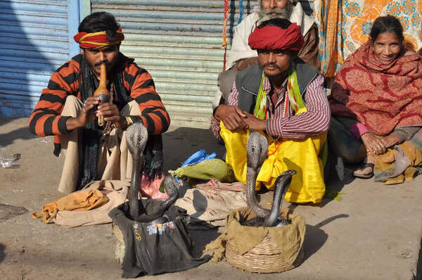 Picture credits - Abrar Ahmed