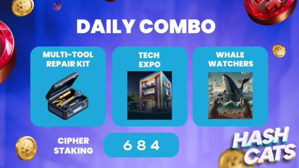 HashCats Daily Combo for November 5, today