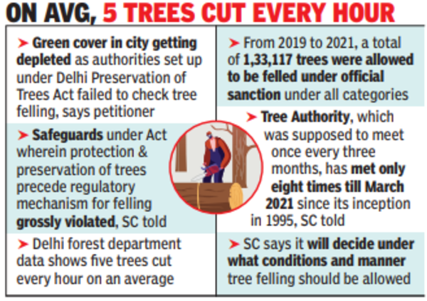 On average, 5 trees cut every hour