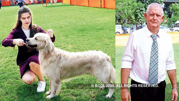 (L) Afnil Vajeria practicing with Cooper the Golden Retriever (R) Karl F Flood