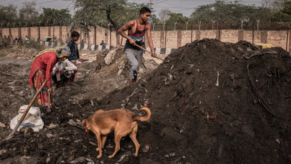 People searching for valuable scraps in piles of waste ash from the Okhla plant in an open dump located in the Tajpur Pahari district of Delhi, a working-class suburb.