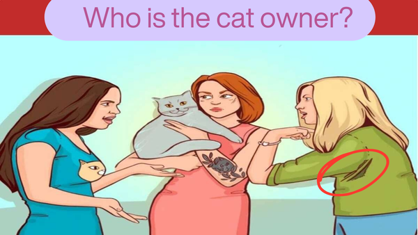 cat owner (2)