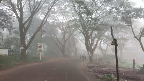 Mercury dips below 15°C in Alluri Sitarama Raju district