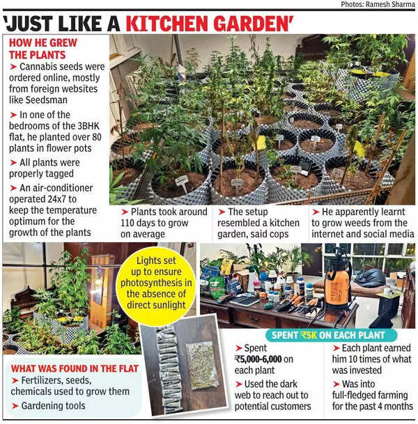 man sets up weed garden