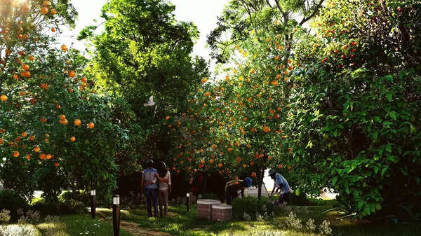 EDIBLE GARDEN (1)
