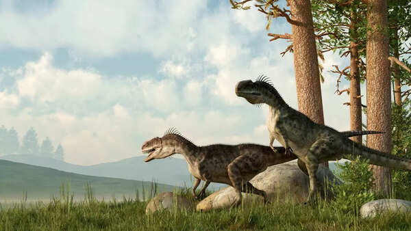 Fossil from the dinosaur era uncovers a new early bird species - Times ...