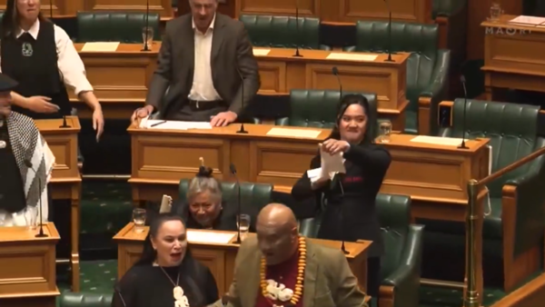 NZ MP Performs Powerful Haka In Parliament: Lesser Known Facts About ...