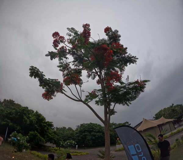 GoPro Hero Black 13 camera sample 4