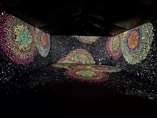 IMG-20241113-WA0007