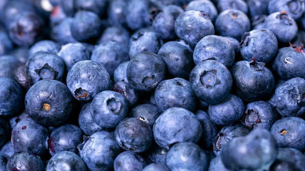 blueberries 2