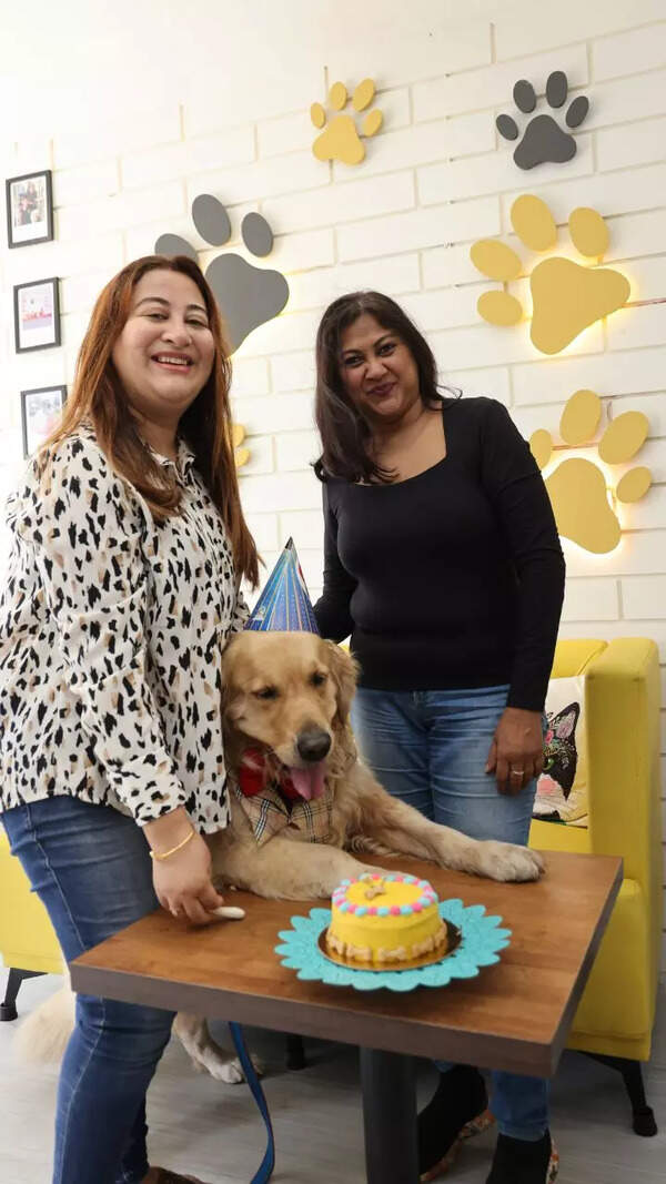 Pet parents gather at Petfeast Cafe for Paws & People, Viman Nagar for a fun evening with their pets (Image: Shashank Sane) Pet community is seeing more and more people