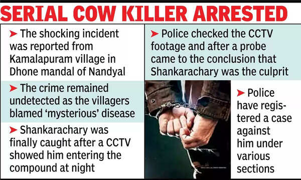 Serial cow killer