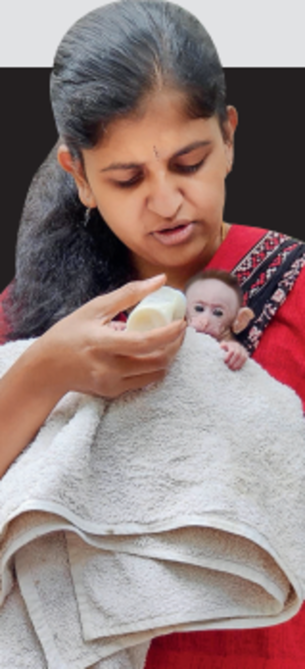 ​Supriya HB