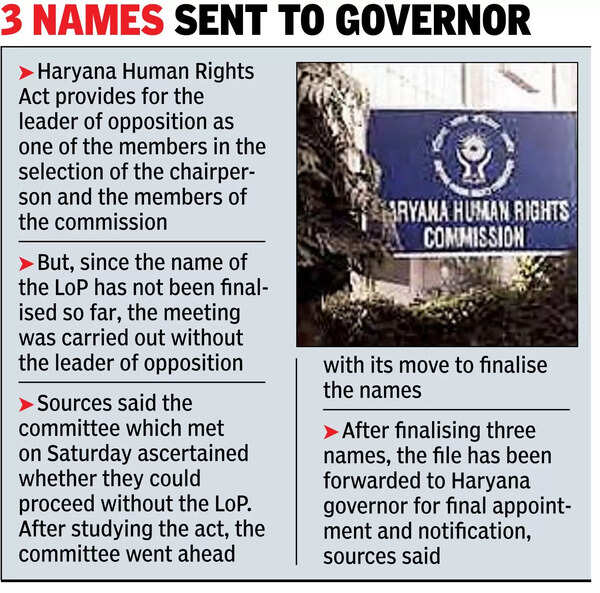 14 months on, Hry rights panel set to have full bench