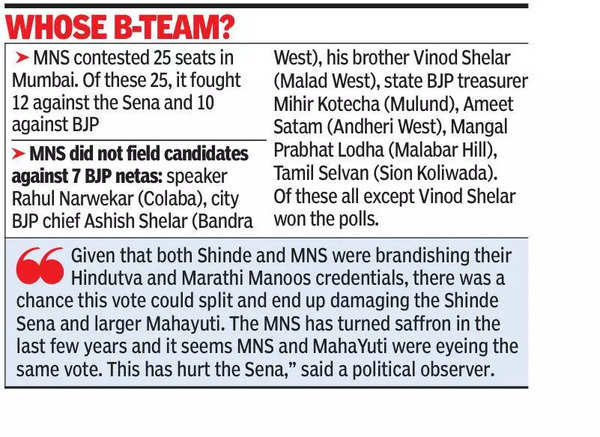 MNS candidates came 3rd but hurt us the most: Sena