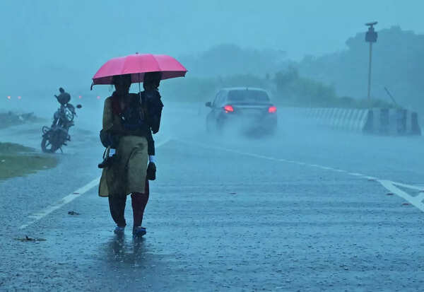 Tamil Nadu rains