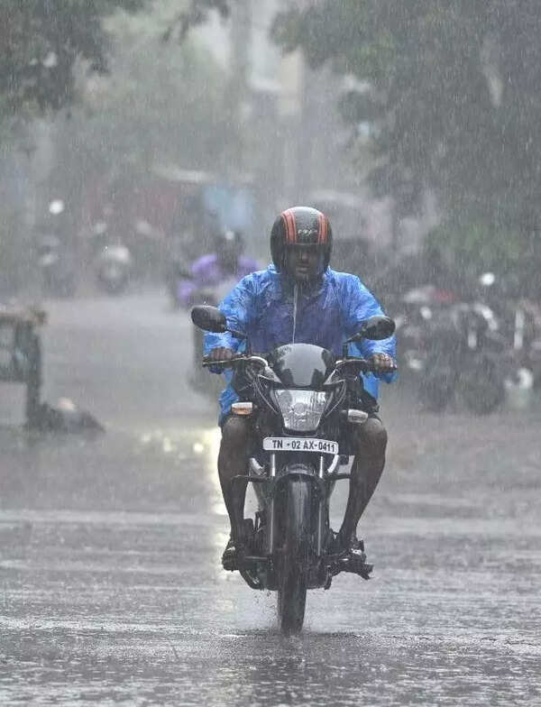 Tamil Nadu rains