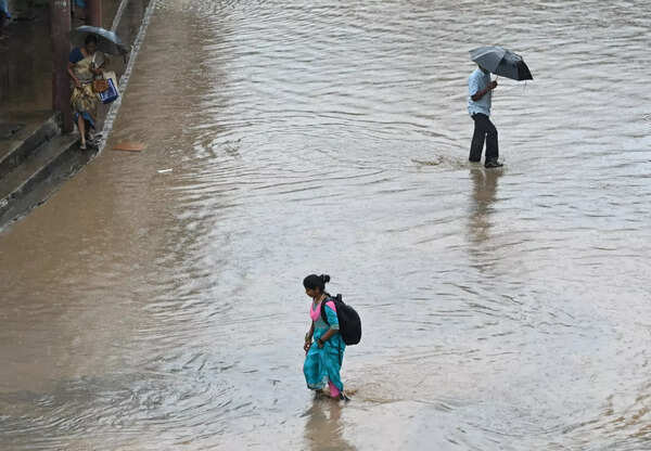 Tamil Nadu rains