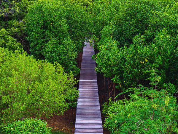 Forest corp opens community-run Surla campsite for nature tourism | Goa ...
