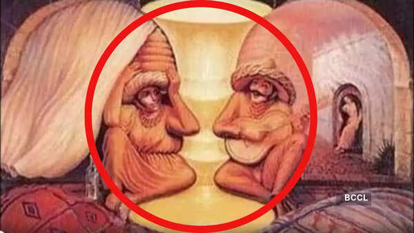 Optical illusion personality test