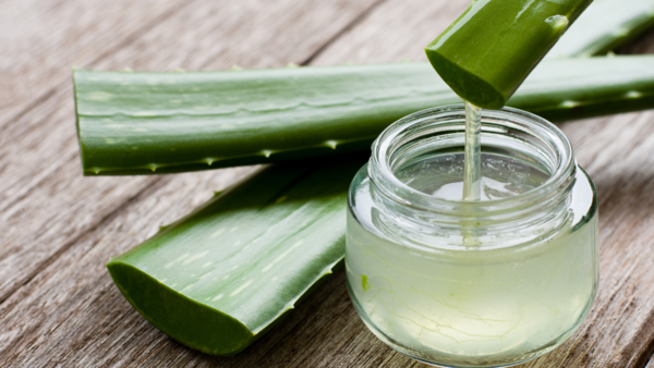 Aloe Vera Gel