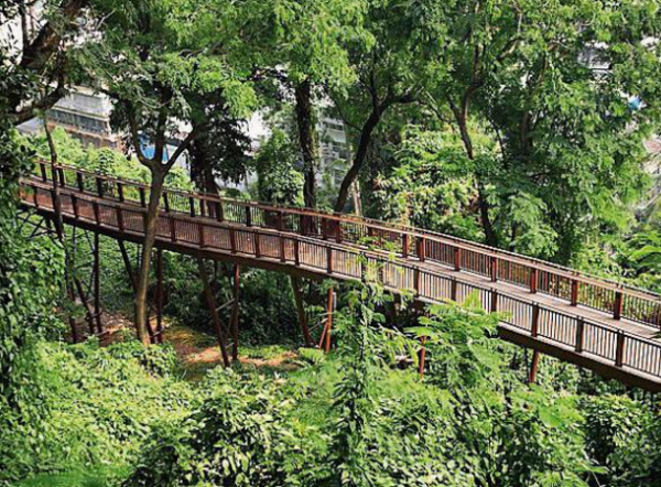 Mumbai's first elevated nature trail walkway at Malabar Hill to open in January 2025