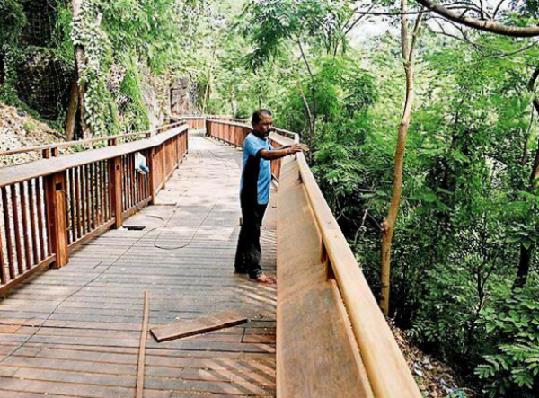 Elevated nature trail walkway at Malabar Hill