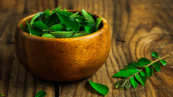 curry leaves (2)