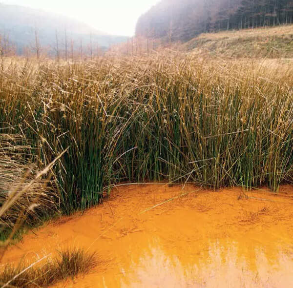 FROM MINE TO YOURS: Britain's coal mines leached toxins in water