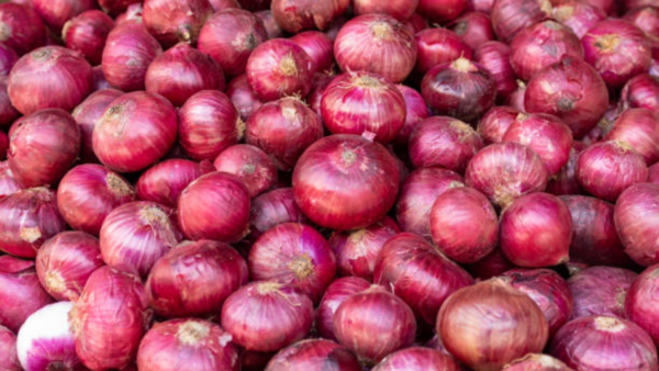 onion (1)