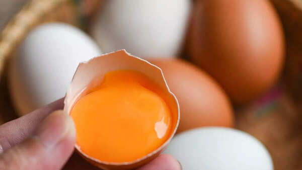 yolk