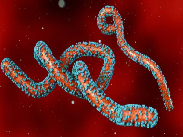 People travelling between the UK and Africa have been given a stark warning over Marburg virus