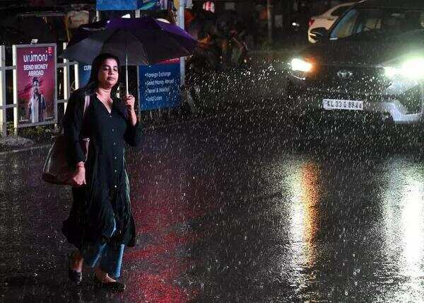 IMD indicated that the weather will be dry starting from Dec 6, bringing an end to the current spell of rain