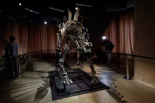 Dinosaur Fossil Worth Millions Arrives in New York