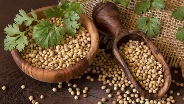 coriander seeds