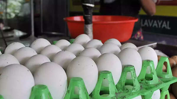 Egg sellers are attributing the price hike to the festive season