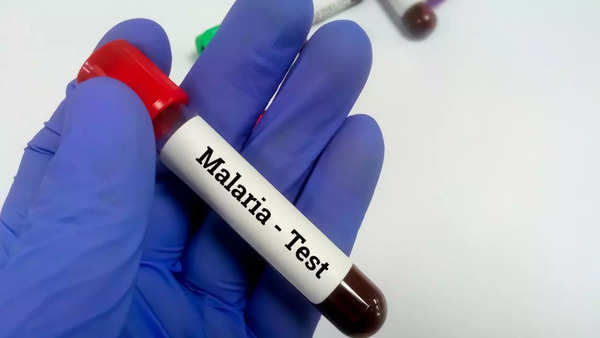 malaria 2