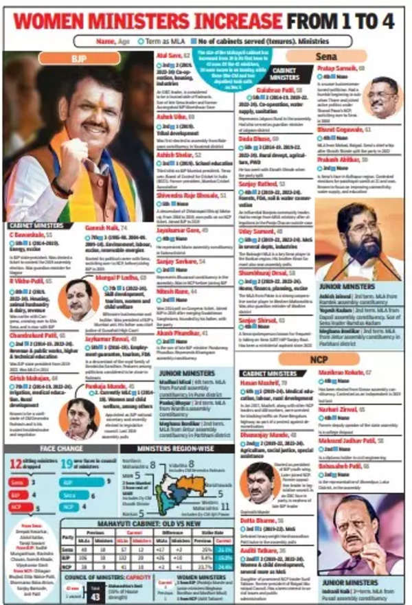 Maha cabinet