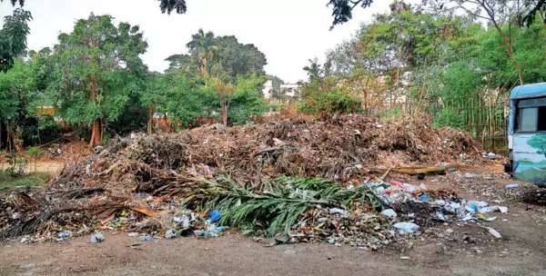 Garbage dumped inside the premises