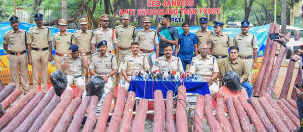 Red sanders task force brings back logs smuggled to Gujarat